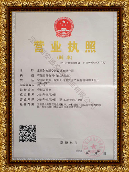 執照